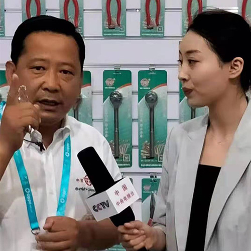 河北中泊集团杨景华总裁在北京国际展览会接受中央电视台采访